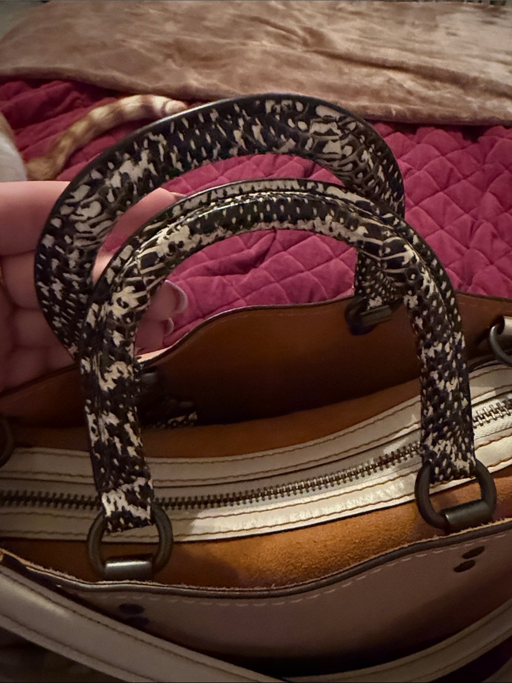 Coach Rogue with Snake-Print Handles - Picture 3 of 11